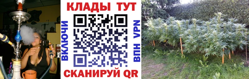 Наркотические вещества Алапаевск Каннабис Метадон ГАШИШ COCAIN