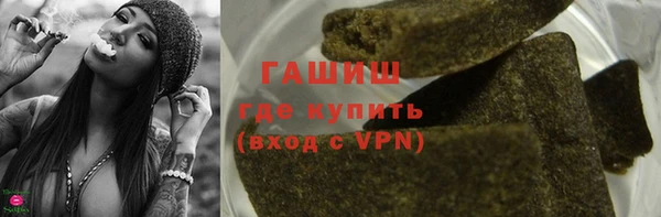 хмурый Абаза