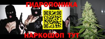 прущие грибы Дубна