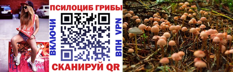 Псилоцибиновые грибы GOLDEN TEACHER OMG ONION Алапаевск купить наркотик