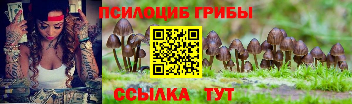 Псилоцибиновые грибы ЛСД  Вход с VPN  Псилоцибиновые грибы Magic Shrooms  Алапаевск 